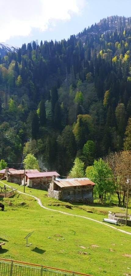 Ayder Vesile Otel Exterior photo
